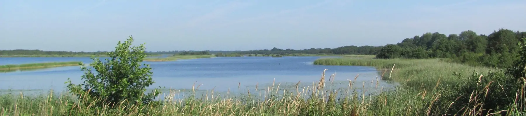 Heimans en Thijsse Stichting